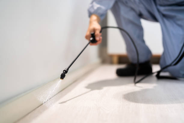 Bed Bug Pre-Treatment Preparation Assessment in Edisto