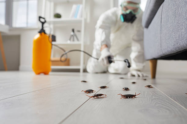 Post-Treatment Bed Bug Interceptor Monitoring in Edisto