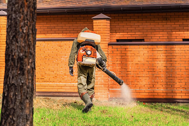 Bed Bug Clearance Verification and Documentation in Edisto